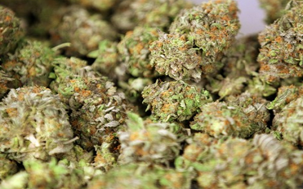 N.J. Recreational Marijuana Bill About to Take Major Step Ahead，新泽西州休闲大麻立法将迈出重要一步
