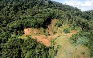 Barrick ups investment in Reunion Gold, hopes for big payoff in Guiana-巴里克向Reunion Gold追加227万美元投资