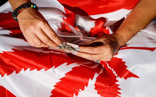 Canadian pot shortage could last up to three years, industry executives say，加拿大大麻供不应求，短缺将持续长达三年