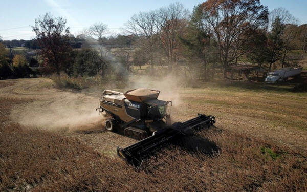 China January Soybean Imports From U.S. Nearly Double Vs. December: Customs-海关：中国1月份从美国进口的大豆环比增长近一倍
