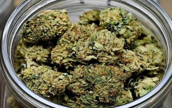 Senator introduces a bill to legalize marijuana and it’s called S.420，美国参议员提出大麻合法化的S.420提案