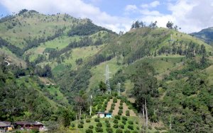 AngloGold streamlines Colombian assets- AngloGold出售哥伦比亚的勘探资产
