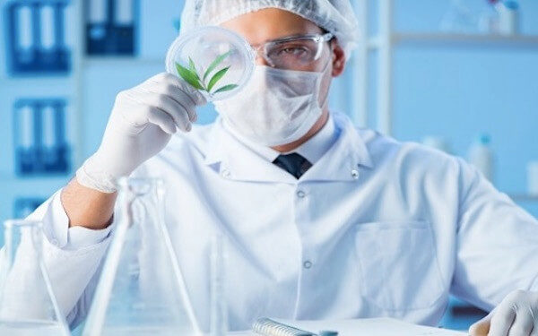 CURE Pharmaceutical Snags DEA License to Manufacture Pharmaceuticals From Cannabis，美国首家口服薄膜公司CURE 获DEA批准制造大麻药品
