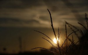 Commodity Prices, Investment Poised to Extend Upswing-路透社：大宗商品价格和投资在全球经济周期的最后阶段将继续上行