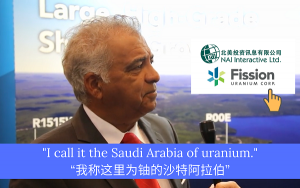 Fission Uranium Corp