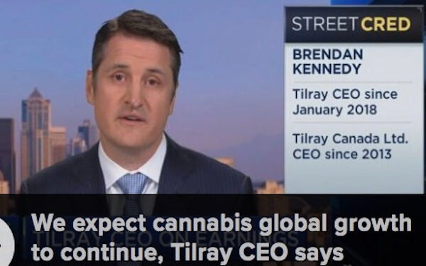 Marijuana grower Tilray rallies 3% after sales more than double，大麻种植商Tilray销售额翻一番，股价上涨