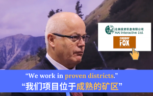 Copper Fox Metals