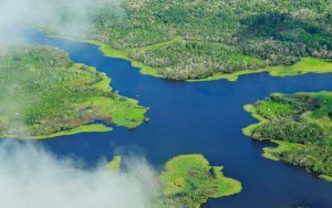 Brazil President says Amazon rainforest reserve should be opened to mining-巴西总统表示亚马逊热带雨林应该向矿业开放