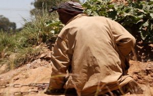 More Than 40 Million People Work in Artisanal Mining: Report-世行报告称全球仍有4000多万人从事手工采矿