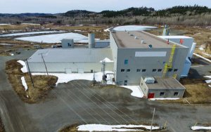 Production of battery grade cobalt blows up First Cobalt's stock-电池级钴投产引爆First Cobalt股价