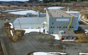 First Cobalt targets Canada plant restart within 2 years— CEO-First Cobalt计划在两年内重启加拿大的一个钴冶炼厂