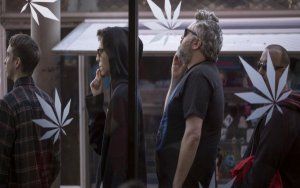 今年迄今股价涨幅超过50%的两只大麻股