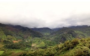 SolGold scores again at Cascabel project-SolGold在厄瓜多尔的Cascabel铜金项目再传喜讯