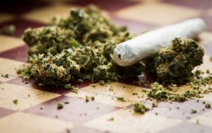 财报在即，大麻公司Aphria的收入能够超预期吗？