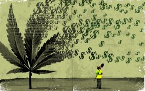 Canopy Growth收购Acreage背后不得不知的5个事实