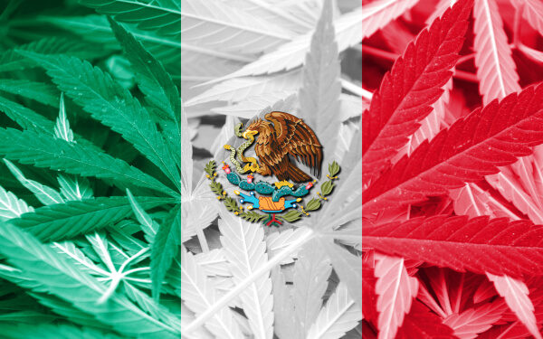 墨西哥有望在今年10月前实现娱乐性大麻的合法化