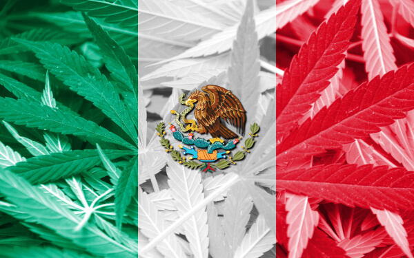 墨西哥有望在今年10月前實現娛樂性大麻的合法化