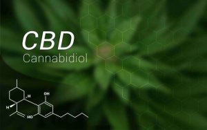 大麻股投资必读：有关大麻二酚的7个事实