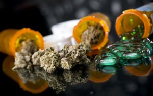 加拿大大麻公司CannTrust 一季报