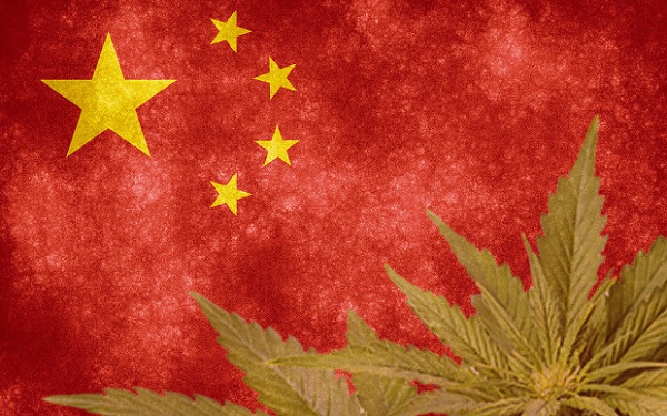中国 工业大麻