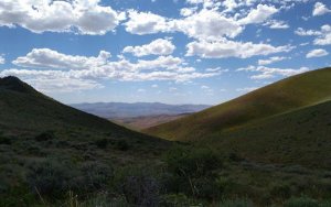 Contact Gold融资400万加元推进旗舰矿山Pony Creek的钻探，股价跳涨