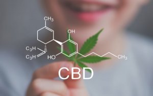 美国食品药品监督管理局（FDA） 大麻二酚（CBD）