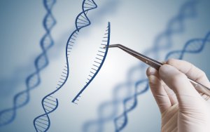 sma藥物zolgensma 基因療法
