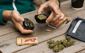 亚洲 药用大麻