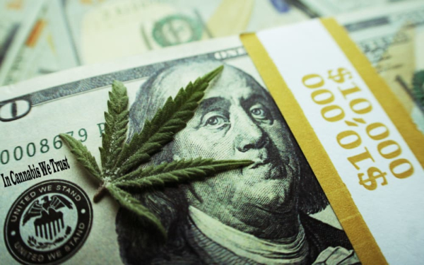 跑马圈地时代，哪些大麻公司拥有更高的利润率？