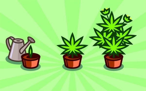 大麻行業創業和投資 美國