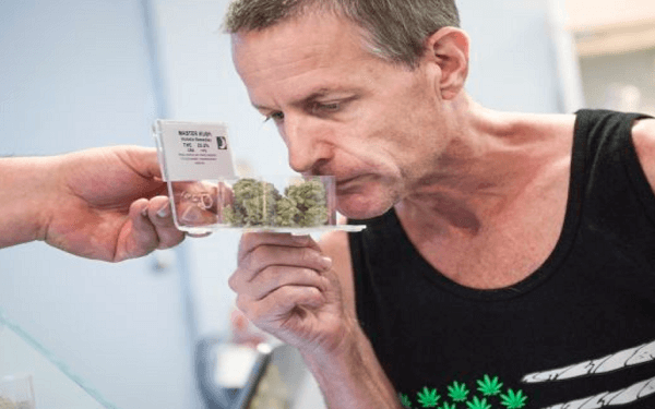 美国使用医用大麻的老年人数增长10倍 Nai 500