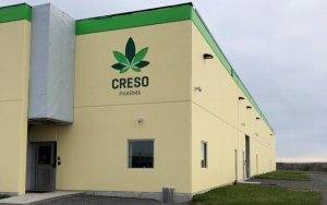 PharmaCielo 药用大麻公司Creso Pharma 并购