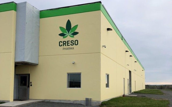 PharmaCielo 藥用大麻公司Creso Pharma 幷購
