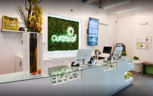 美国大麻股