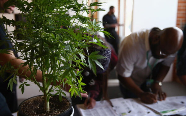全球合法大麻支出 Arcview Market Research BDS Analytics