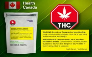 加拿大卫生部 大麻食用品监管条例终稿