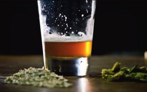 大麻饮料 莫尔森库尔斯酒业Molson Coors Brewing
