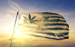 蓋洛普民調 大麻二酚CBD 美國
