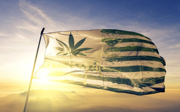 盖洛普民调 大麻二酚CBD 美国