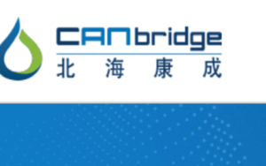 CANbridge