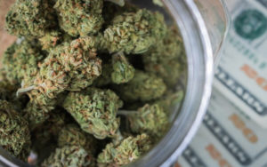 大麻股 投資 知識點