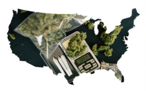 大麻衍生品 霧化器 幹花 濃縮物 大麻卷