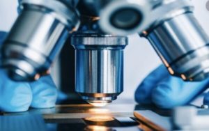 Frontier Biotech
