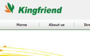 Nanjing King-Friend