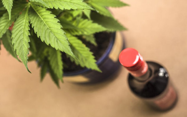 尼尔森大麻行业研究报告