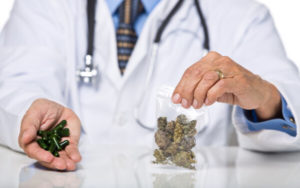 制药商 药用大麻 Cannadoc 梯瓦制药Teva