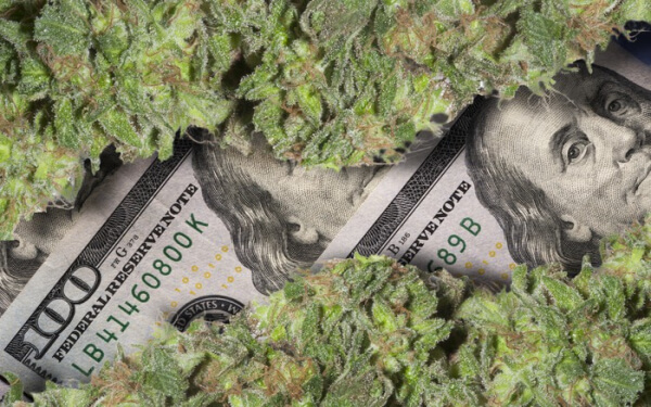 二季报 营业利润 大麻股