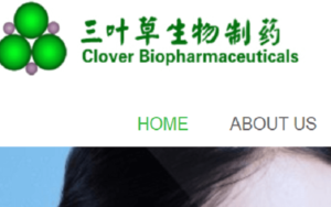 Sichuan Clover