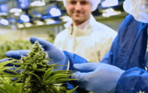 Tilray