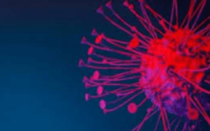 TriArm Therapeutics